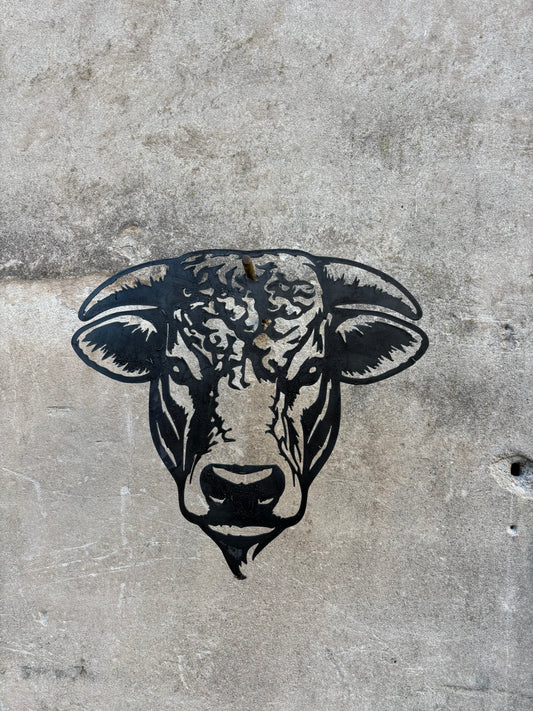 Tête charolais
